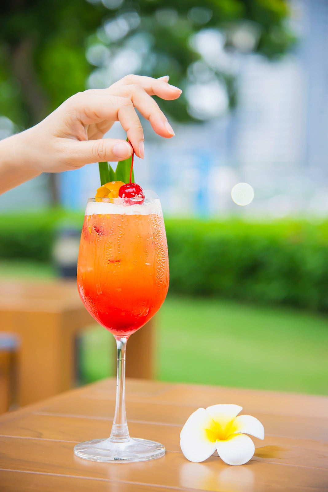 Tropical Fizz: A Tropical Adventure